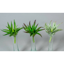  Aloe vera gumis élethű pozsgás 15 cm - 3 színben dekoráció