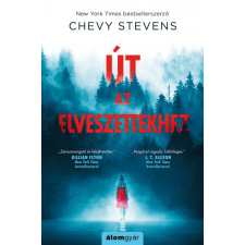 Álomgyár. Chevy Stevens - Út az elveszettekhez regény