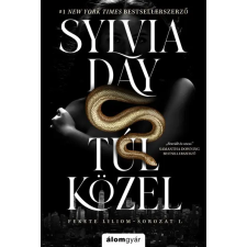 Álomgyár Kiadó Túl közel regény