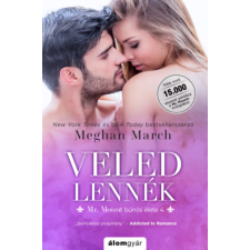 Álomgyár Kiadó Veled lennék regény