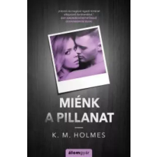Álomgyár. Miénk a pillanat egyéb e-könyv