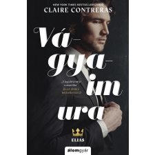 Álomgyár. Vágyaim ura regény