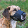 Alpha-Vet Kft. Trixie hálós szájkosár L-XL (TRX19265)