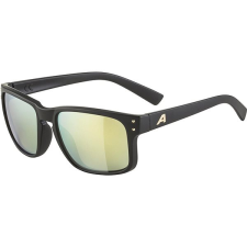 Alpina Sports Alpina Kosmic - black-gold matt szemüvegkeret