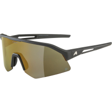 Alpina Sports Alpina Sonic HR Q black matt (4003692322739)