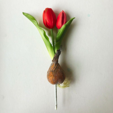 Amarillis Hagymás tulipán - pink dekorációs kellék