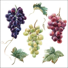 AMB.13317240 Wine grapes papírszalvéta 33x33cm, 20db-os papírárú, csomagoló és tárolóeszköz