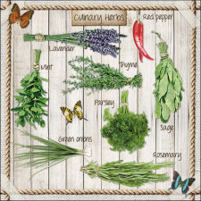 AMB.13317265 Kitchen Herbs papírszalvéta 33x33cm, 20db-os higiéniai papíráru
