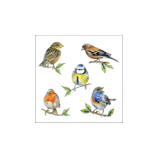 AMB.13318135 Bird species white papírszalvéta 33x33cm, 20db-os papírárú, csomagoló és tárolóeszköz