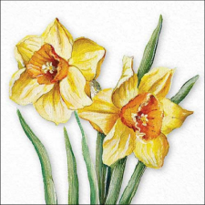 AMB.13318490 Flowering daffodils papírszalvéta 33x33cm, 20db-os papírárú, csomagoló és tárolóeszköz