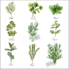 AMB.13318560 Herb selection papírszalvéta 33x33cm, 20db-os papírárú, csomagoló és tárolóeszköz