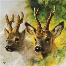  AMB.13319915 Roebuck papírszalvéta 33x33cm, 20db-os papírárú, csomagoló és tárolóeszköz