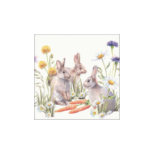  AMB.23318250 Carrot treat papírszalvéta 33x33cm,20db-os papírárú, csomagoló és tárolóeszköz