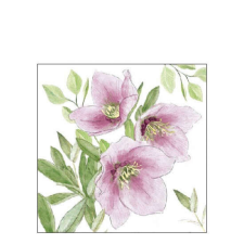 AMB.32518015 Classic helleborus papírszalvéta 25x25cm, 20db-os papírárú, csomagoló és tárolóeszköz