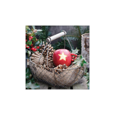 AMB.33317825 Star apple papírszalvéta 33x33cm, 20db-os papírárú, csomagoló és tárolóeszköz