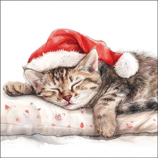  AMB.33320080 Dreaming about X-Mas papírszalvéta 33x33cm, 20db-os papírárú, csomagoló és tárolóeszköz