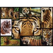 Ambassador Games Ambassador Tigris - 1000 darabos készlet (7230058) puzzle, kirakós
