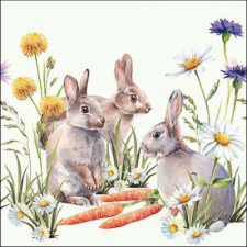 Ambiente Carrot treat papírszalvéta 33x33cm, 20db-os papírárú, csomagoló és tárolóeszköz