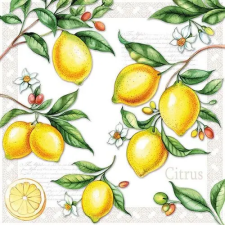 AMBIENTE Citrus papírszalvéta 33x33cm,20db-os konyhai eszköz