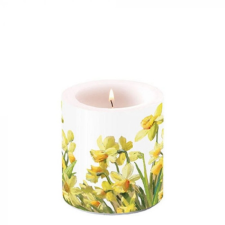AMBIENTE Golden Daffodils átvilágítós gyertya 8x7,5cm gyertya