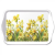 AMBIENTE Golden Daffodils műanyag kistálca 13x21cm