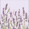AMBIENTE Lavender Shade lila papírszalvéta 33x33cm,20db-os