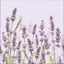 AMBIENTE Lavender Shade lila papírszalvéta 33x33cm,20db-os konyhai eszköz