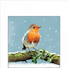  Ambiente Robin on branch papírszalvéta 25x25cm, 20db-os papírárú, csomagoló és tárolóeszköz