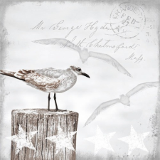 AMBIENTE Seagulls papírszalvéta 33x33cm,20db-os papírárú, csomagoló és tárolóeszköz