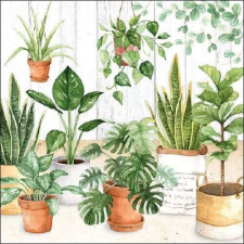 AMBIENTE Urban Jungle papírszalvéta 33x33cm, 20db-os papírárú, csomagoló és tárolóeszköz