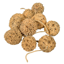  Ámbrafa termés kínai falfestékes narancs 14dkg/csom dekorációs kellék