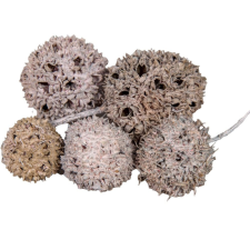  Ámbrafa termés kínai falfestékes rózsaszín 14dkg/csom dekorációs kellék