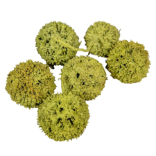  Ámbrafa termés olíva 14dkg/csom dekorációs kellék