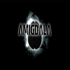  Amigdala (Digitális kulcs - PC) videójáték