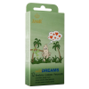 Amor Wild Dreams / 12 pcs content