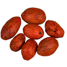  Amra dió szárított terrakotta 30dkg/csom dekorációs kellék