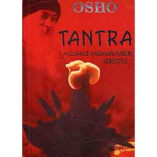 Amrita Kiadó Tantra-a lélekhez a szexualitáson keresztül antikvárium - használt könyv