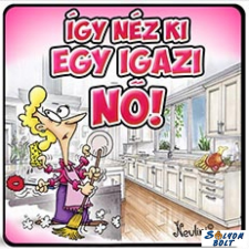 AN-PE 32 Kft Vicces hűtőmágnes, Így néz ki egy igazi nő hűtőmágnes