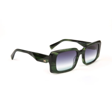 Ana Hickmann Sunglasses HI9212 E01 52