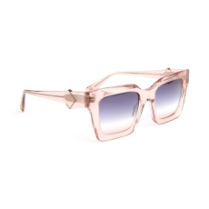 Ana Hickmann Sunglasses HI9213 T02 51