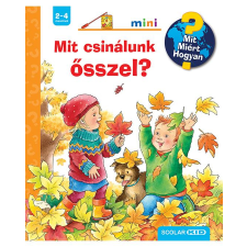 Andrea Erne Mit csinálunk ősszel? – Mit? Miért? Hogyan? Mini (64.) gyermek- és ifjúsági könyv
