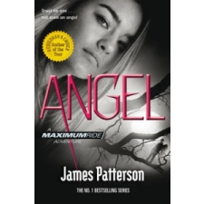  Angel: A Maximum Ride Novel – James Patterson idegen nyelvű könyv