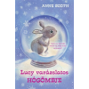 Anne Booth BOOTH, ANNE - LUCY VARÁZSLATOS HÓGÖMBJE