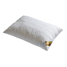  Antiallergén ELZA félpárna, 50x70 cm (580 g) - Billerbeck lakástextília