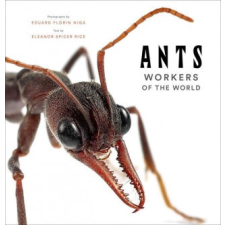  Ants: Workers of the World – Eduard Florin Niga idegen nyelvű könyv