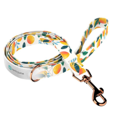  April&amp;June mangó mintás nyakörv nyakörv, póráz, hám kutyáknak