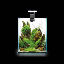 Aqua-El Aquael Shrimp Set Smart Day&amp;Nnight 10 black - Nano akvárium garnélarákoknak és kisebb halaknak (20x20x25cm) akvárium