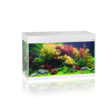 AquaEl Opti Set akvárium - 125 - Fehér akvárium