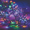 Aqualing Dekortrend Basic: Kültéri fényfüzér időzítő funkcióval, 80 LED, színes