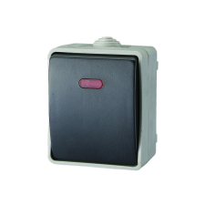  AQUATOP 9876H falon kívüli váltókapcsoló, 1 billenő, 10 A, IP54, szürke, jelzőfénnyel villanyszerelés